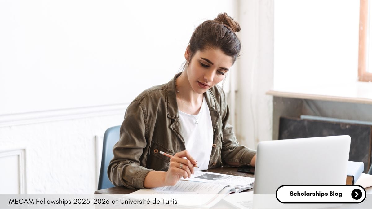 MECAM Fellowships 2025-2026 at Université de Tunis