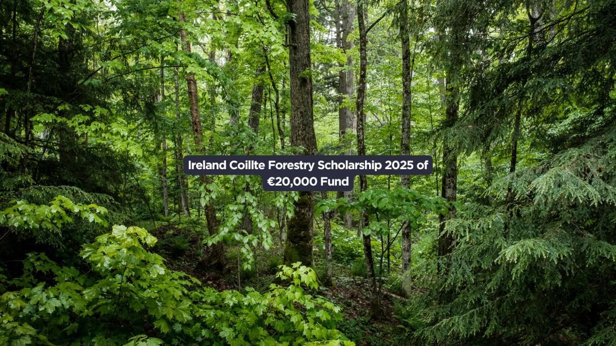 Ireland Coillte Forestry Scholarship 2025 of €20,000 Fund