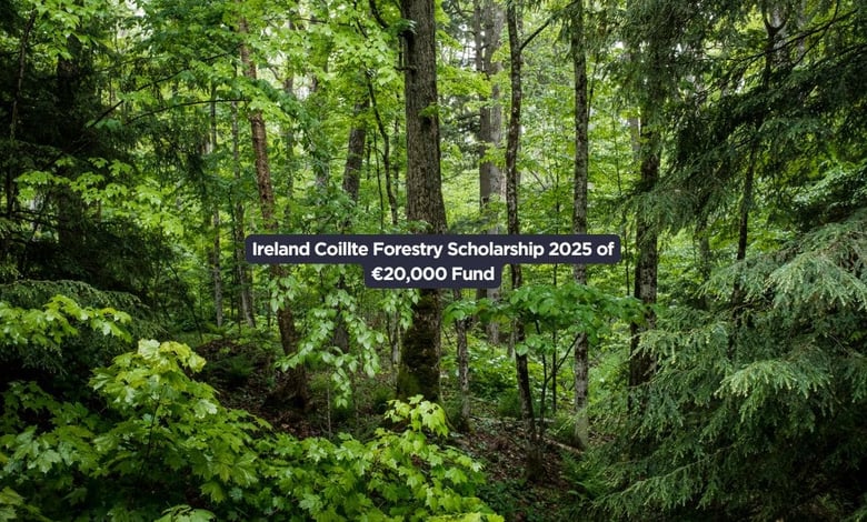 Ireland Coillte Forestry Scholarship 2025 of €20,000 Fund
