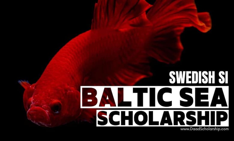 SI Baltic Sea Neighbourhood Scholarship Programme 2025