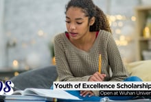 Youth of Excellence Scholarship of China 2026 at Wuhan University