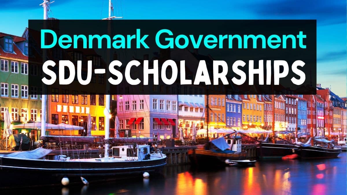 Denmark Government Scholarships 2025 at SDU