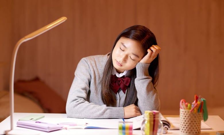 Waseda University Japan International Scholarships 2025