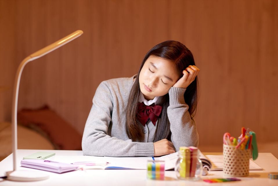 Waseda University Japan International Scholarships 2025