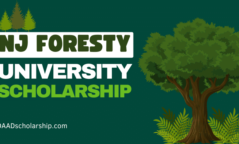 Nanjing Forestry University Scholarships 2024 in China