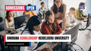 Amirana Scholarship 2027 for African Students at Heidelberg University