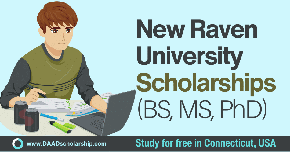 University of New Haven Scholarships 2024 at Connecticut, USA