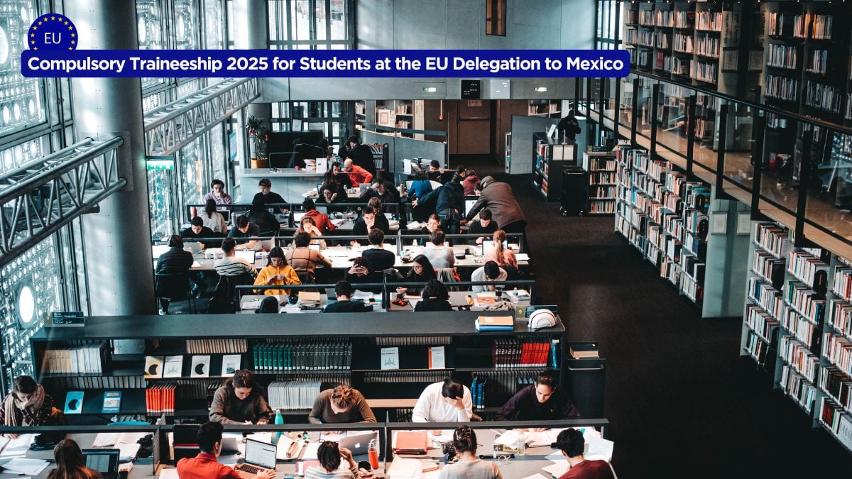 Compulsory Traineeship 2025 for Students at the EU Delegation to Mexico