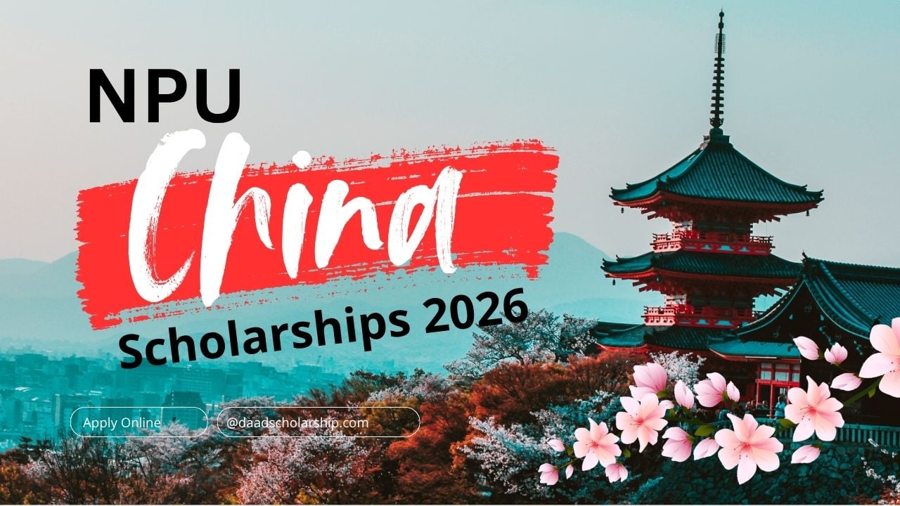 NPU Undergrad China Government Scholarships 2026 for International Students