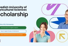 Swedish University of Agricultural Sciences Scholarships 2027 Guide Helps you Prepare the Documents
