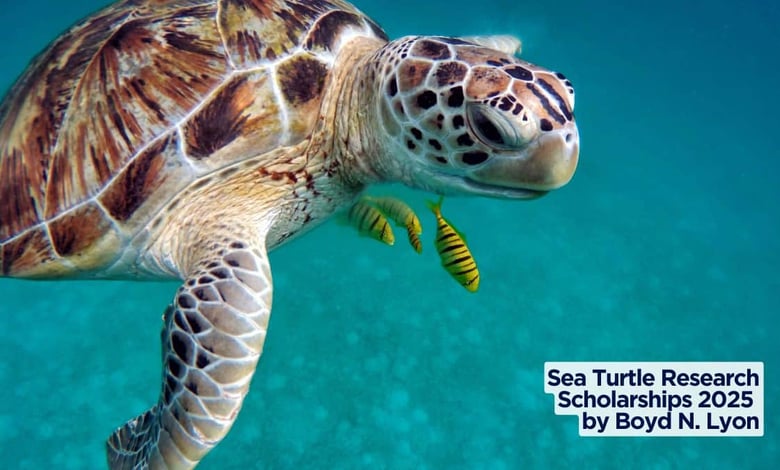 Sea Turtle Research Scholarships 2025 by Boyd N. Lyon