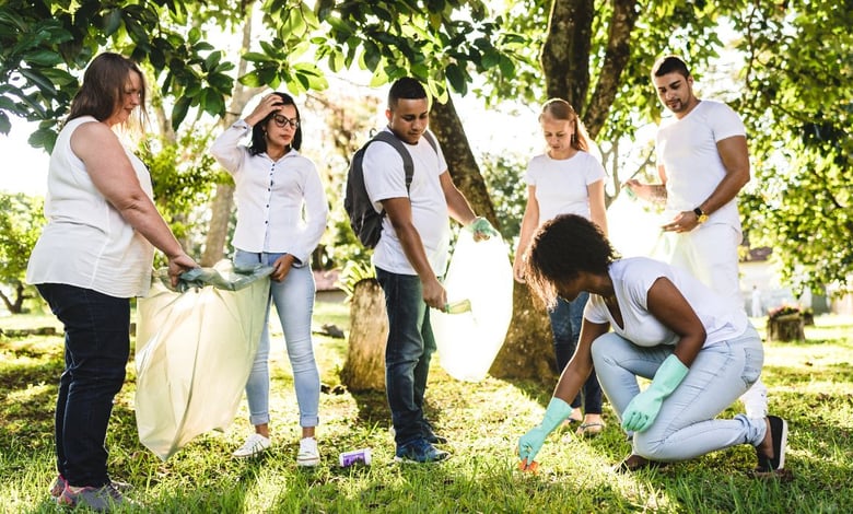 Global Change Ecology and Evolution MSc Scholarship 2025 at University of Liverpool