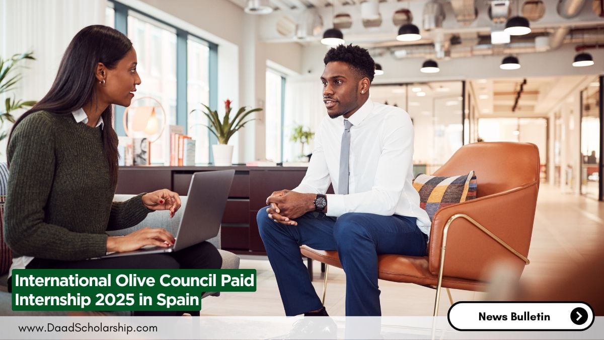 International Olive Council Paid Internship 2025 in Spain