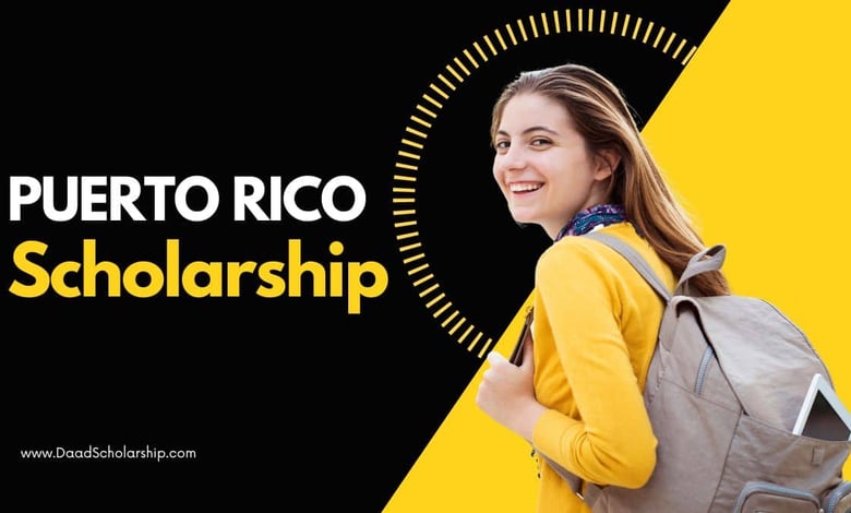 Puerto Rico Scholarship 2024 by OAS-UAGM