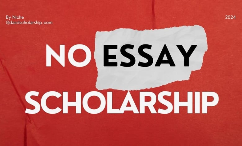 $25,000 No Essay Scholarship 2024 from Niche