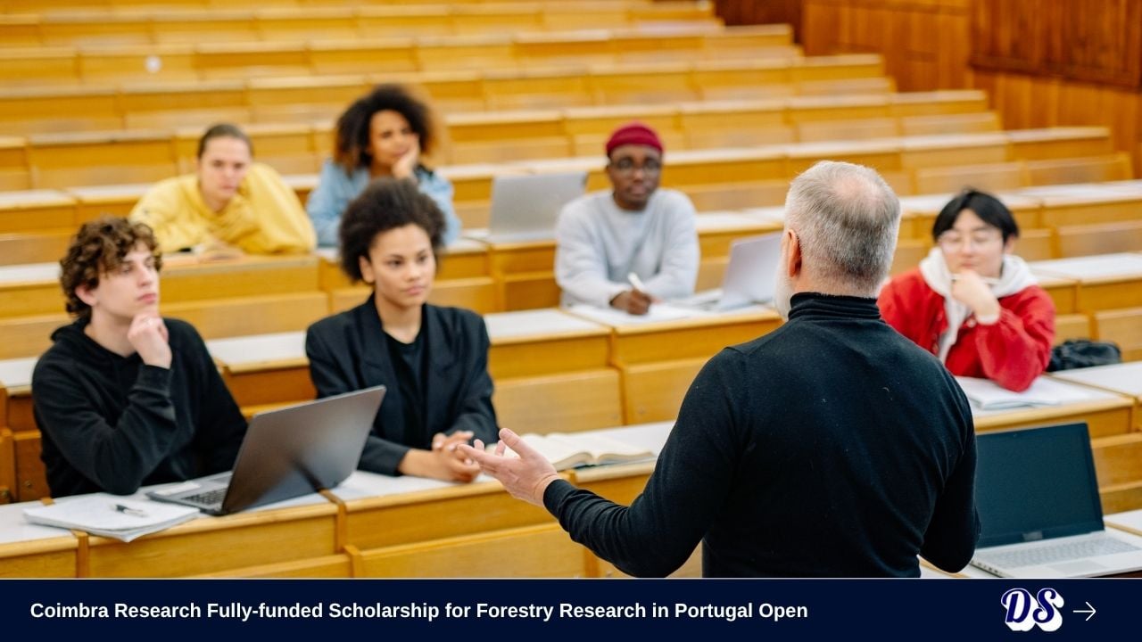 Coimbra Research Fully-funded Scholarship for Forestry Research in Portugal Open