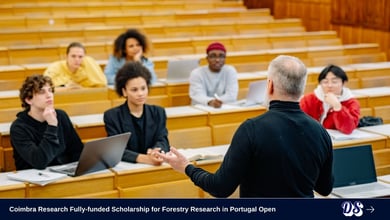 Coimbra Research Fully-funded Scholarship for Forestry Research in Portugal Open