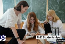 Portugal Opens PhD Studentships at Foundation for Science and Technology (FCT)