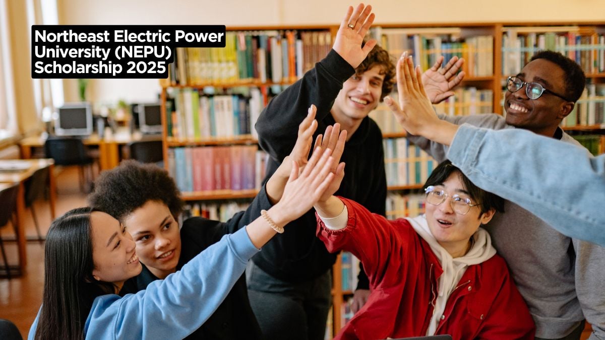 Northeast Electric Power University (NEPU) Scholarship 2025