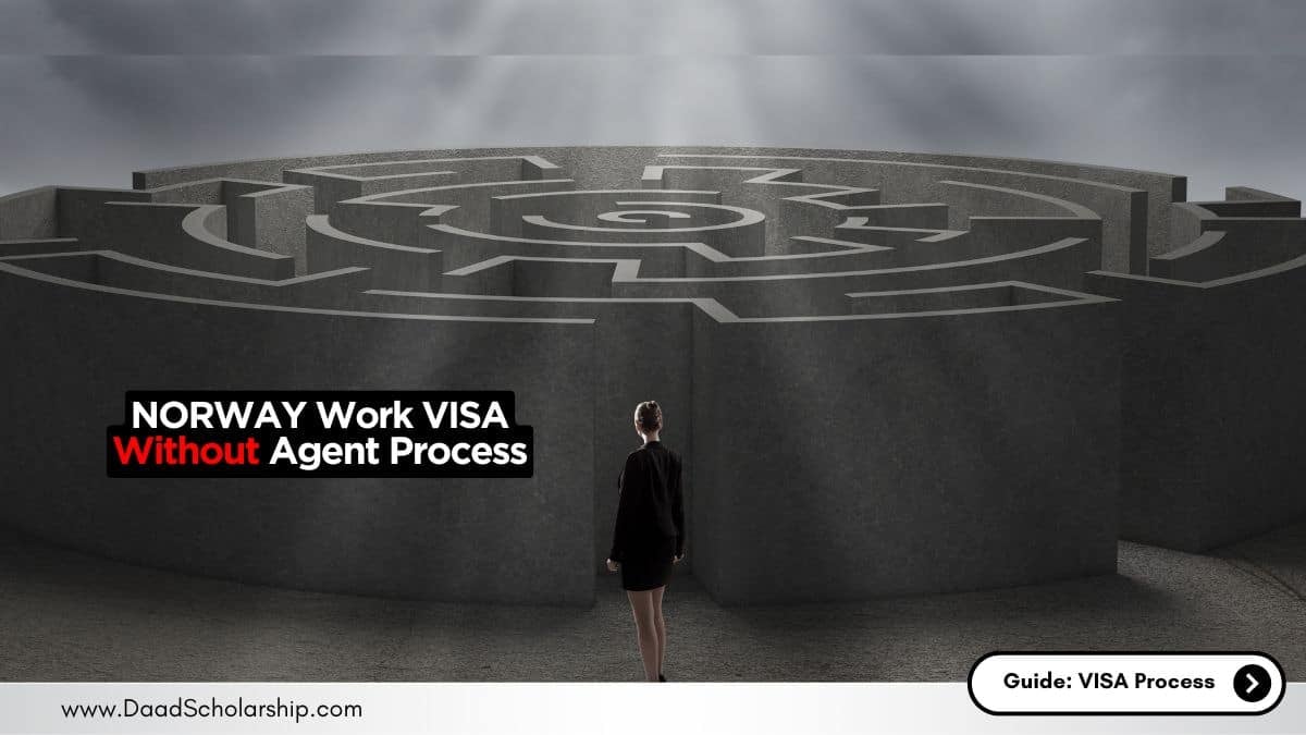 How to Get Norway Work VISA Without an Agent in 2024
