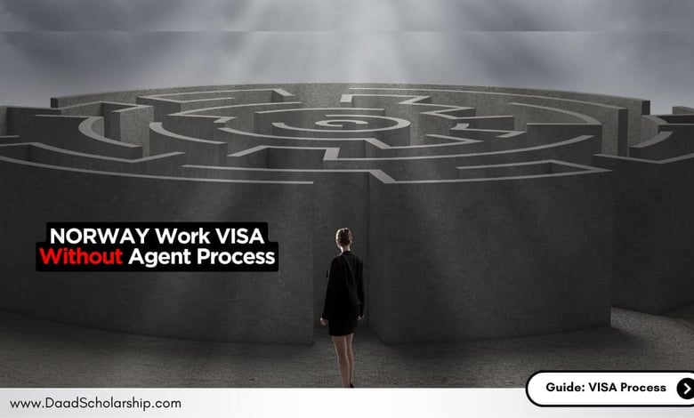 How to Get Norway Work VISA Without an Agent in 2024