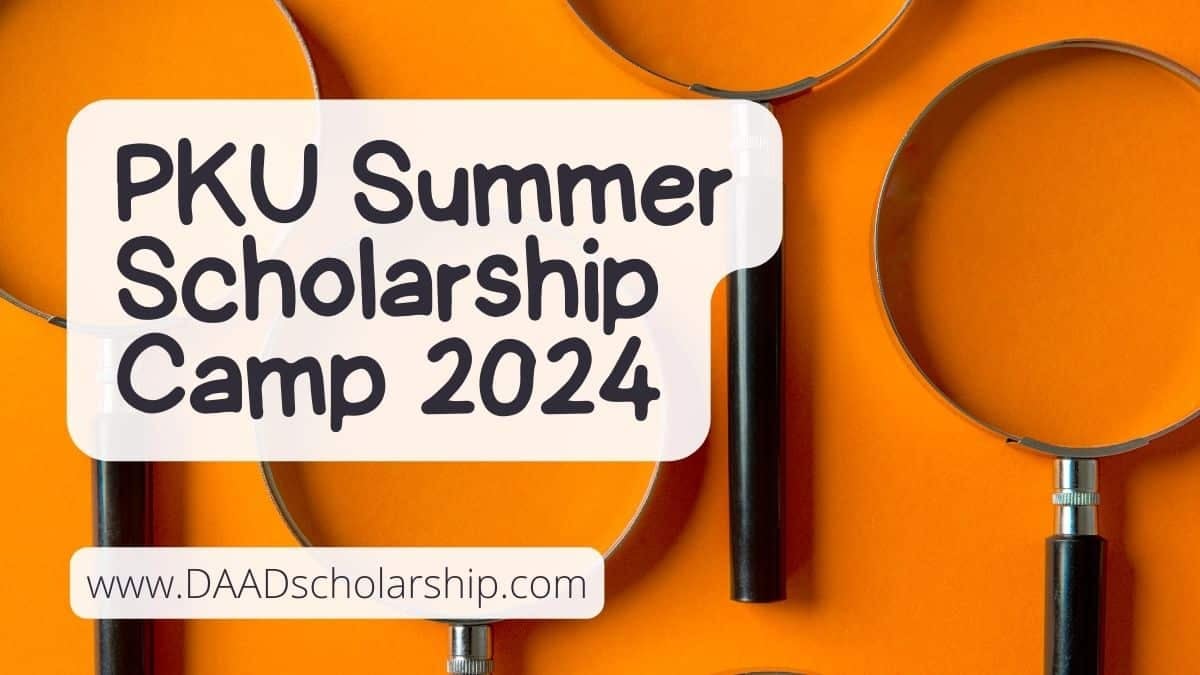 Peking University Summer Scholarship 2024 for Research