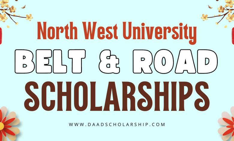 Guide to Xi'an Belt and Road Scholarships 2024 by Northwest University