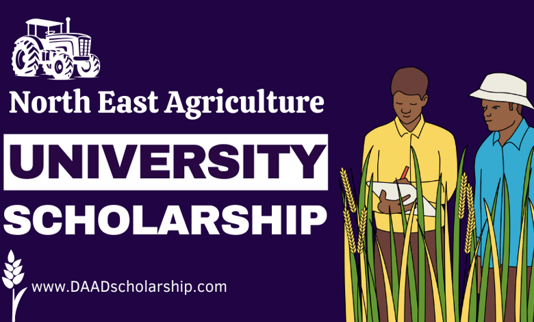 Northeast Agricultural University CSC Scholarships 2024