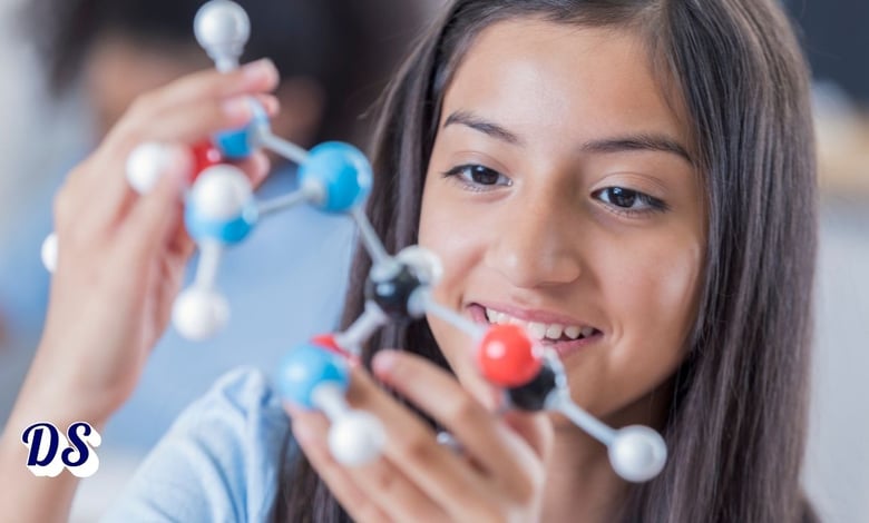 New Fellowships 202627 at University of Münster (Germany)