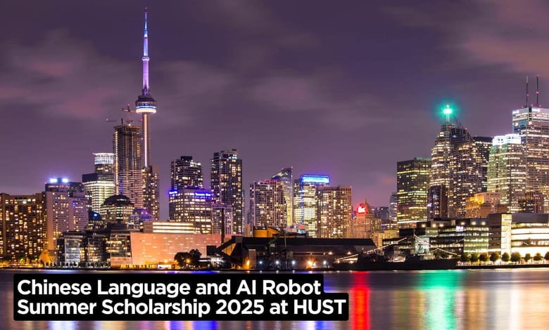 Chinese Language and AI Robot Summer Scholarship 2025 at HUST