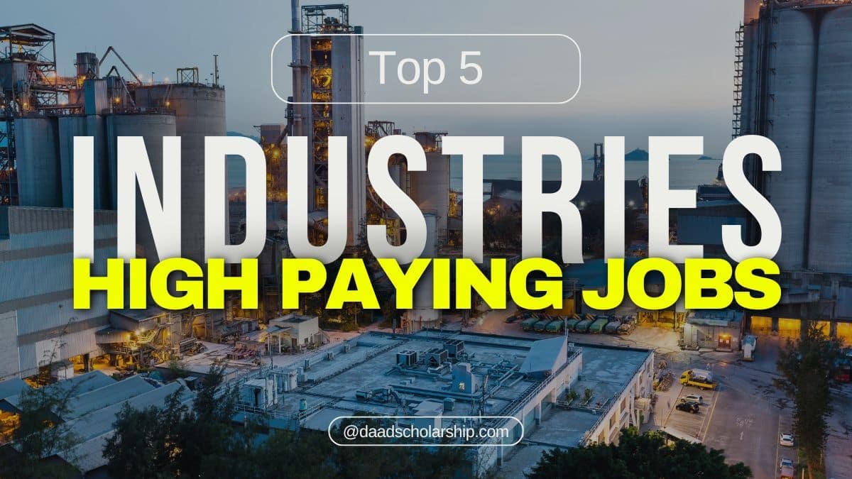 5 High-Paying Sectors for Entry-Level Jobs in 2024