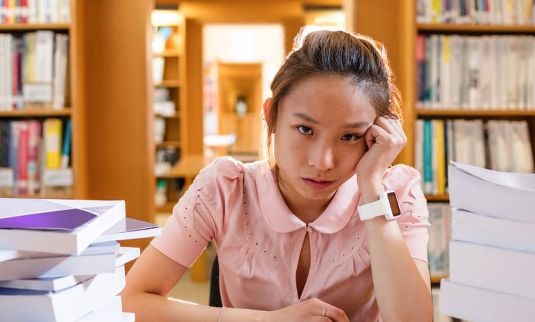 Slovakia Scholarships 2025 for Talented International Students