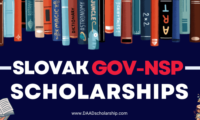 Slovak Government National Scholarship Program 2024