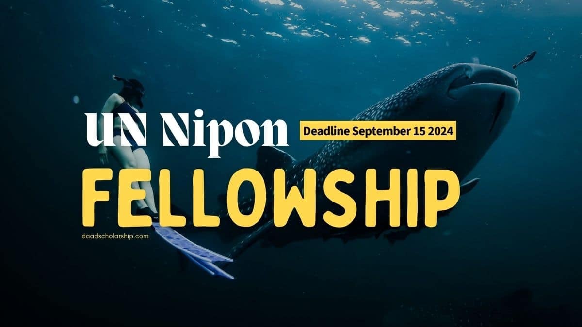UN-Nippon Foundation Fellowship 2024 for Ocean and Sea Sciences