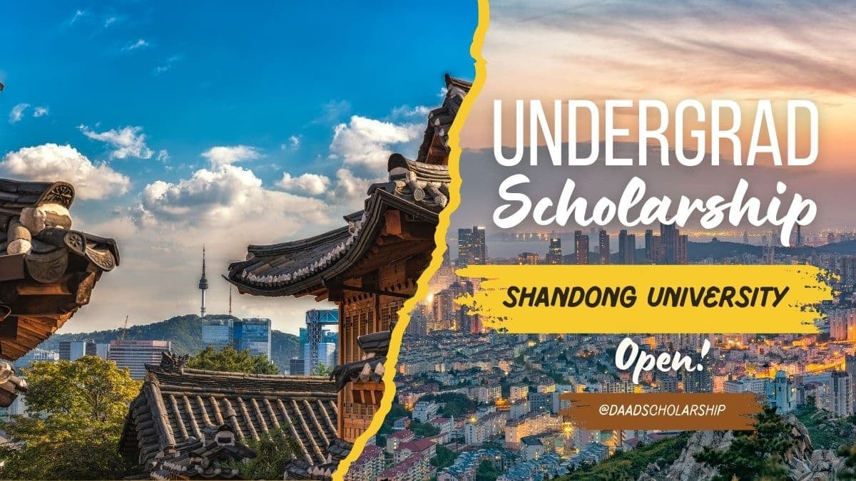 Undergrad Preparatory Scholarship 2024 at Shandong University