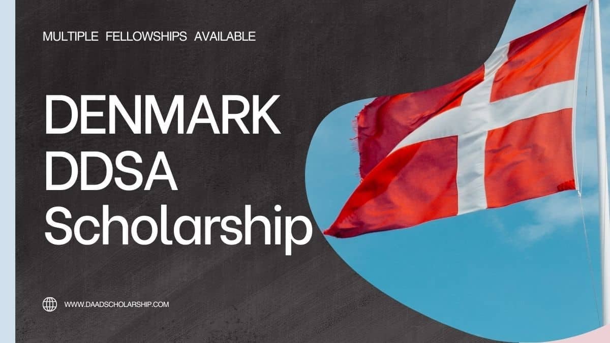 Denmark DDSA Visit Grant Scholarships 2024 Available