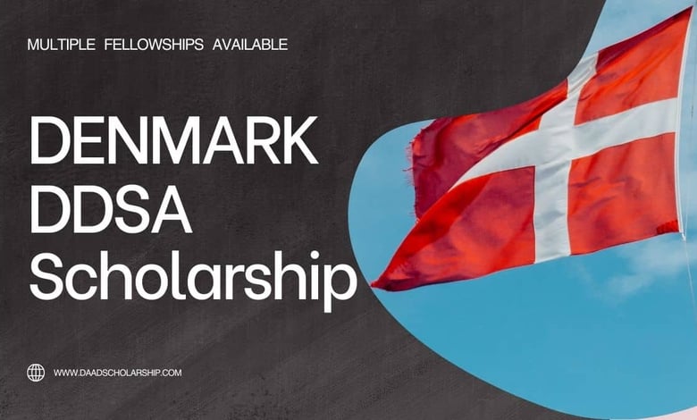 Denmark DDSA Visit Grant Scholarships 2024 Available