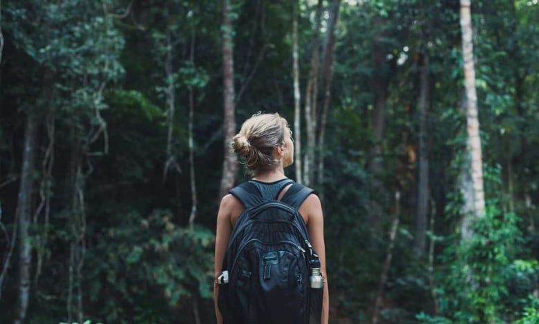 Forrest Research Foundation Scholarships 2025 Open Now