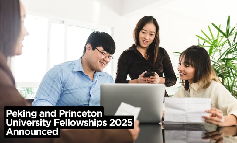 Peking and Princeton University Fellowships 2025 Announced