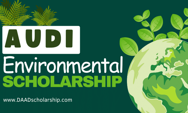 Audi Environmental Foundation Scholarship 2024