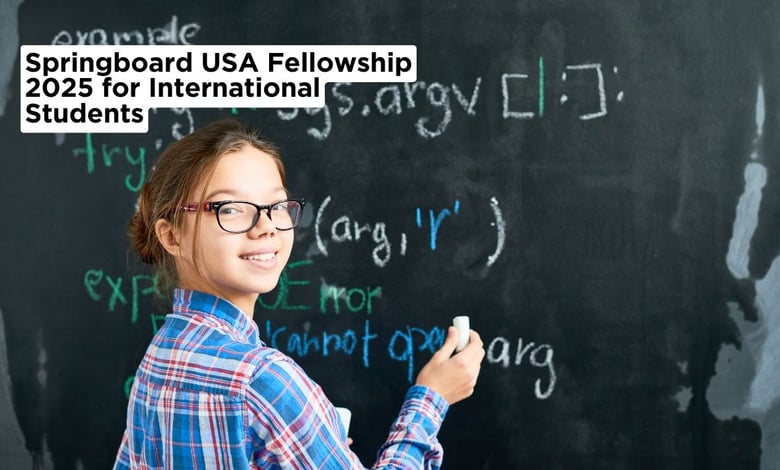 Springboard USA Fellowship 2025 for International Students
