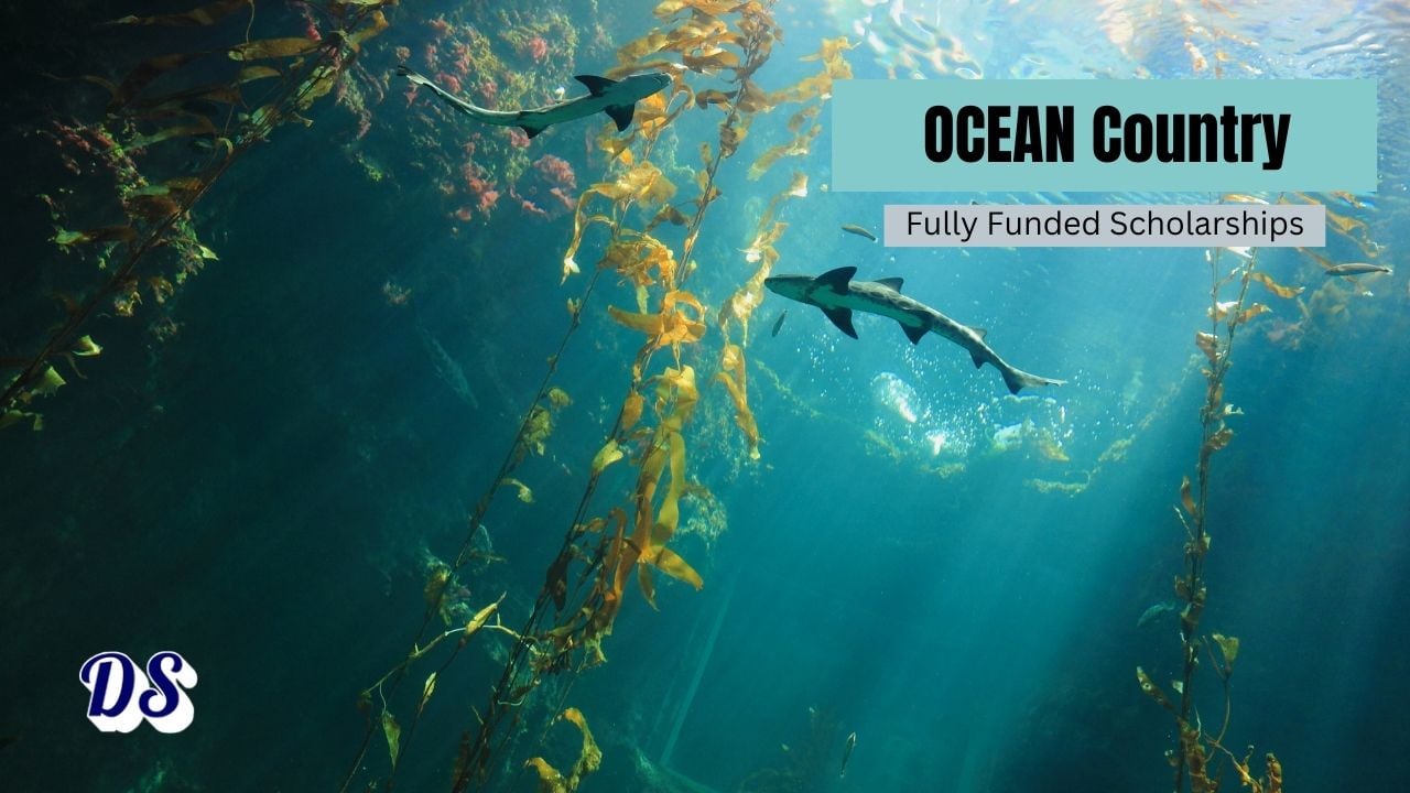 Ocean Country Partnership Programme Scholarships 2026