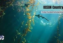 Ocean Country Partnership Programme Scholarships 2026