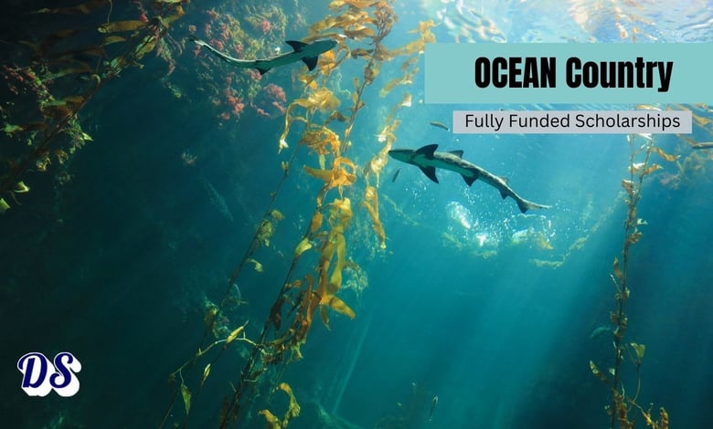 Ocean Country Partnership Programme Scholarships 2026