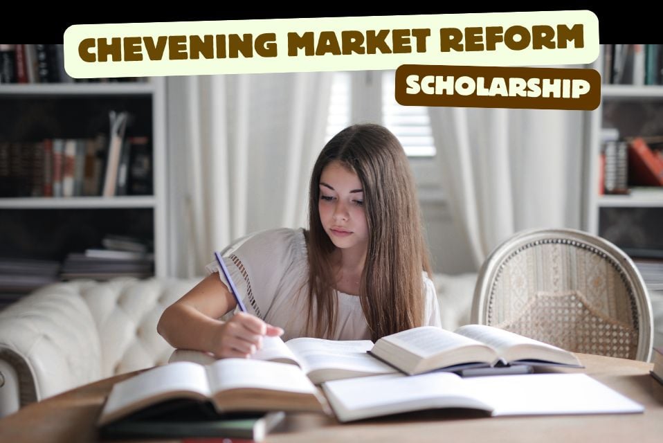 Chevening Energy Market Reform Fellowships 2025 Also Open