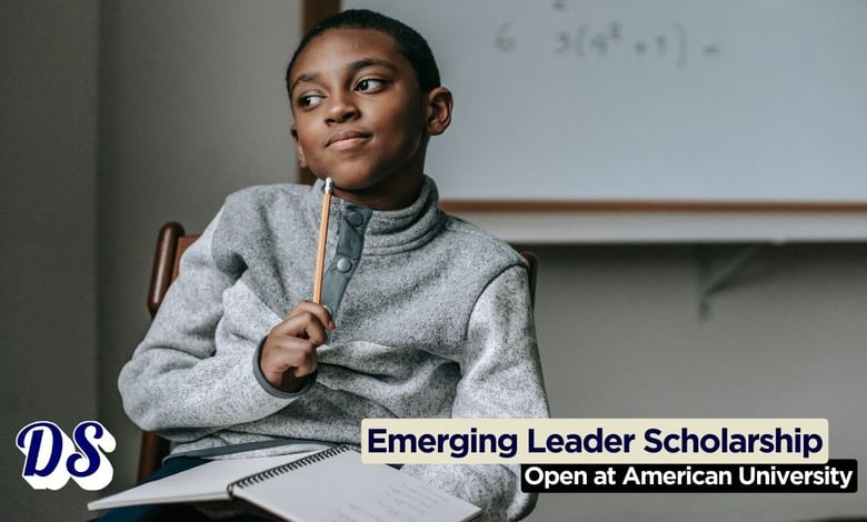 Emerging Global Leader Scholarship 2026 at American University Open