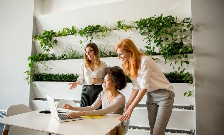 Internship Programme in Jersey (ECP) 2025 Accepting New Applications