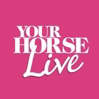 Your Horse Live