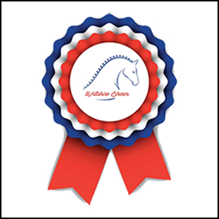 04 SEIB HOYS Racehorse to Riding Horse - 1st Class Images