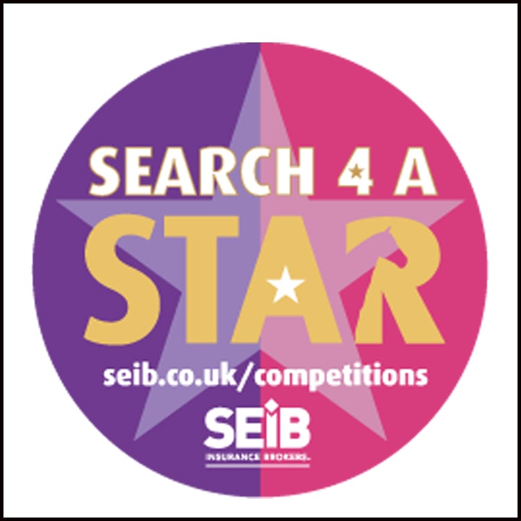 SEIB Search for a Star Stoneleigh